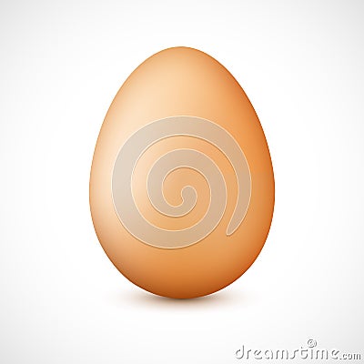 Realistic brown egg with shadow Vector Illustration