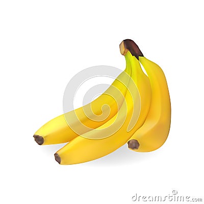 Realistic bunch of bananas. 3d vector illustration. Vector Illustration