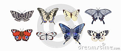 Realistic butterflies drawings set. Different moths species drawn in vintage style. Flying insects with wings. Beautiful Vector Illustration