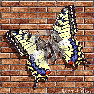 Realistic butterfly on a brick wall Vector Illustration