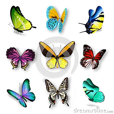 Realistic Butterfly Set Vector Illustration