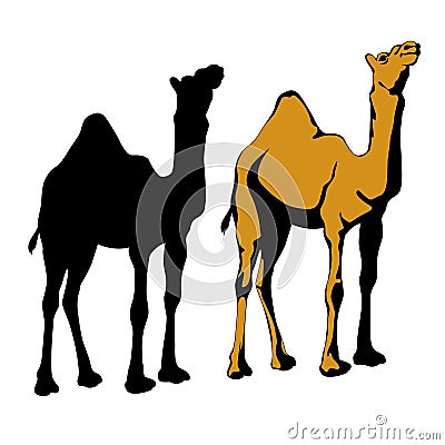 Realistic camel silhouette black set Vector Illustration