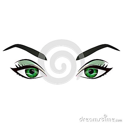 Realistic cartoon vector female green eyes and eyebrows Vector Illustration