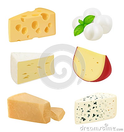 Realistic cheese. Pieces of delicious gourmet food variety mozzarella natural healthy milk products holland cheese Vector Illustration