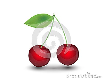 Realistic Cherry Isolated on White Background. Stock Photo