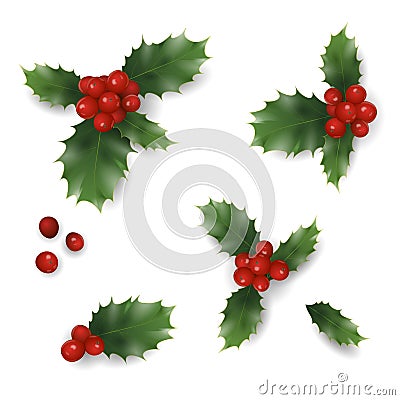 Realistic Christmas New Year red holly berry pattern. Vintage winter holiday decoration design element set isolated 3d Vector Illustration