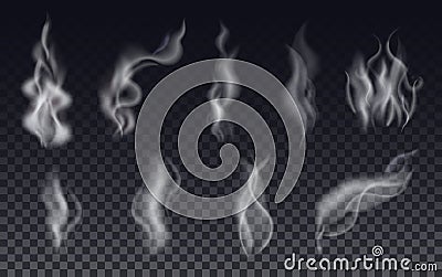 Realistic cigarette smoke waves or steam on transparent background. Vector Illustration