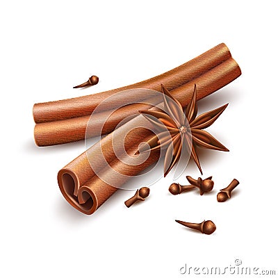 Realistic cinnamon cloves dried anise star vector Vector Illustration