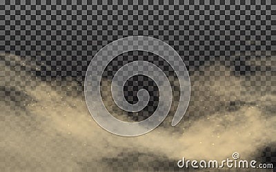 Realistic cloud with dirt and soil particles. Vector Illustration