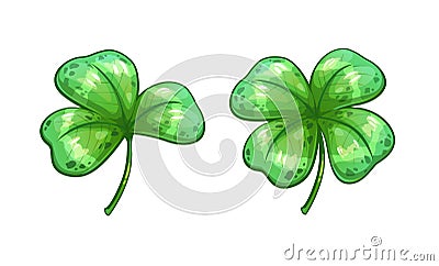 Realistic clover leaves. Vector Illustration