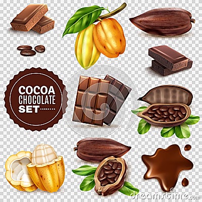 Realistic Cocoa Transparent Background Set Vector Illustration