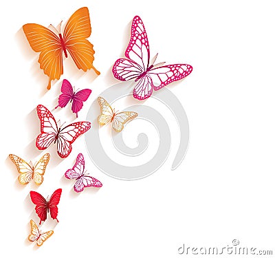 Realistic Colorful Butterflies Isolated for Spring Vector Illustration