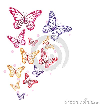 Realistic Colorful Butterflies Isolated for Spring Vector Illustration