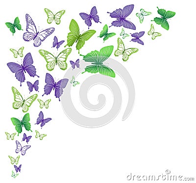 Realistic Colorful Butterflies Isolated for Spring Vector Illustration