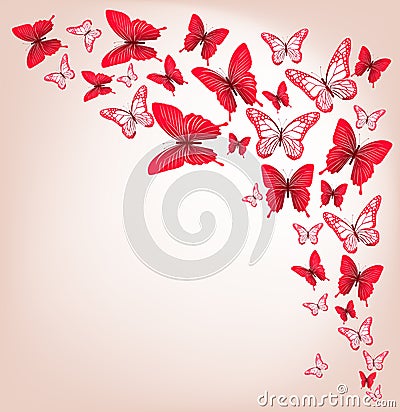 Realistic Colorful Butterflies for Spring Vector Illustration