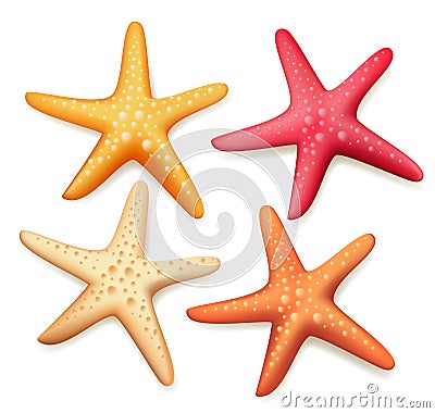 Realistic Colorful Starfish Set in White Background Vector Illustration