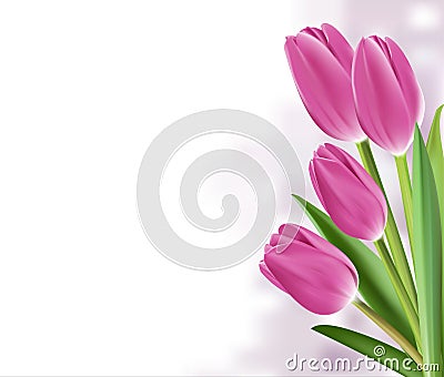 Realistic Colorful Tulips in Background Vector Illustration