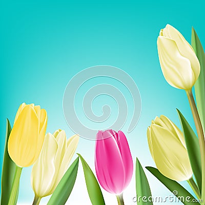 Realistic Colorful Tulips in Background Vector Illustration