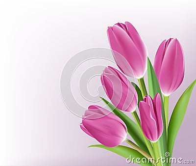 Realistic Colorful Tulips in Background Vector Illustration