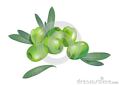 Realistic 3d boneless green olives with few leaves composition isolated on white Vector Illustration