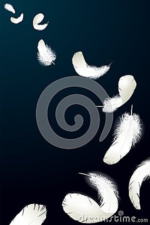 Realistic 3d detailed white swan pigeon feathers fluff black blue background. Vector illustration. Falling feathers Vector Illustration