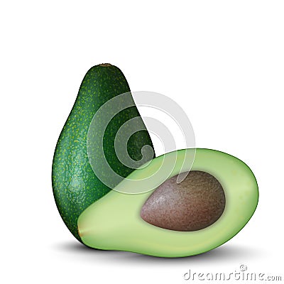 Realistic 3d Illustration of sliced green avocado fruit. Colourful avocados with seed. Good for packaging design and ad Vector Illustration