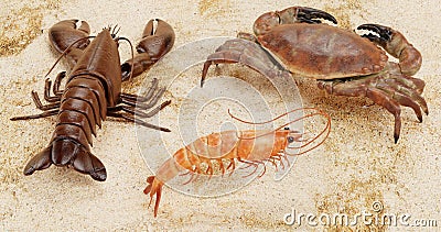 3D Render of Crustacean Edible Stock Photo