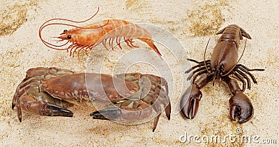 3D Render of Crustacean Edible Stock Photo
