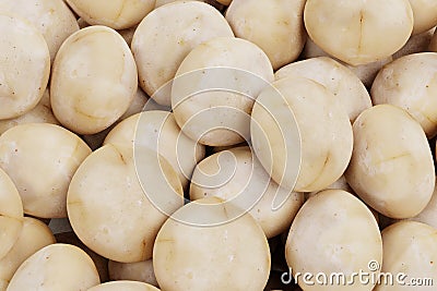 3D Render of Macadamia Nuts Stock Photo