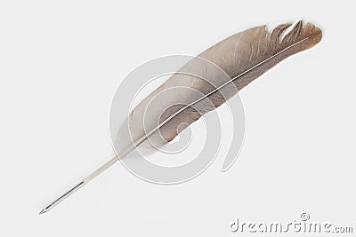 3d render of quill pen Stock Photo