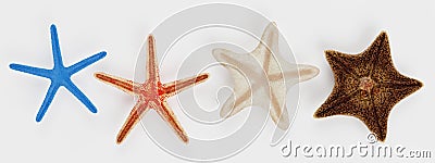 3D Render of Starfish Collection Stock Photo