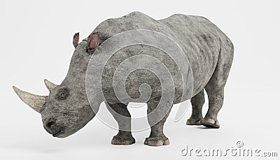 3D Render of White Rhinoceros Stock Photo