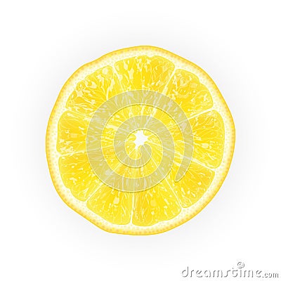 Realistic 3d Vector Illustration of sliced yellow lemon fruit. C Vector Illustration