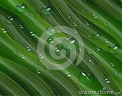 3d, three-dimensional water droplets and voluminous, the green leaves in the style of realism Vector Illustration