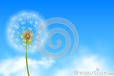 realistic dandelion flower seeds in blue background with clouds vector Vector Illustration