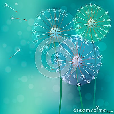 Realistic dandelion with flying buds Vector Illustration