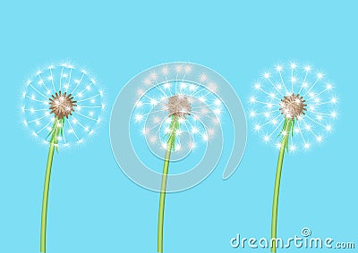 Realistic dandelion set isolated Vector Illustration