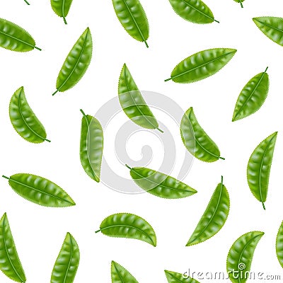 Realistic Detailed 3d Elements Set of Tea Seamless Pattern Background. Vector Vector Illustration