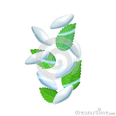 Realistic Detailed 3d Fresh Green Mint Leaves and Mints Gum. Vector Vector Illustration