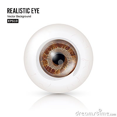 Realistic Detailed Human Eyeball. Vector Illustration Vector Illustration