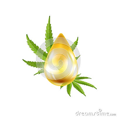 Realistic drop of oil with hemp leaf. Vector illustration. Vector Illustration