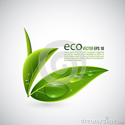 Realistic eco leaves. Cartoon Illustration