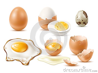 Realistic eggs. Raw and fried natural diet product, 3d chicken and quail egg, beige whole cracked shell, protein and Vector Illustration