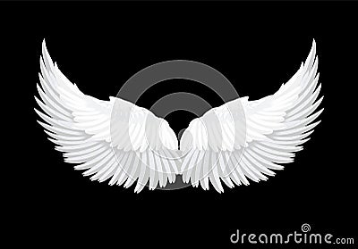 Vector realistic white angel wings Vector Illustration