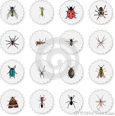 Realistic Emmet, Midge, Bee And Other Vector Elements. Set Of Insect Realistic Symbols Also Includes Grasshopper Vector Illustration