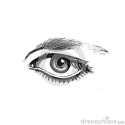 Realistic expressive eye isolate on a white background. Fashion sketch. Vector Vector Illustration