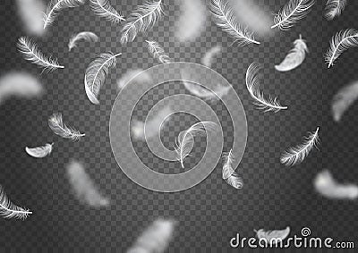 Realistic Falling Feather Background Vector Illustration