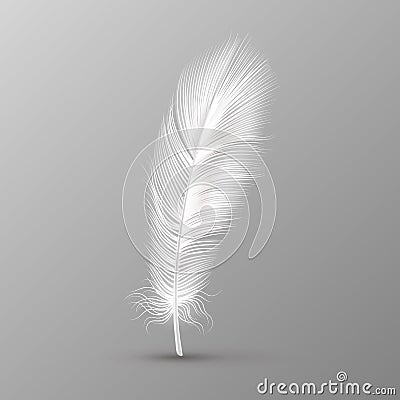 Realistic feather. Single white soft bird wings smooth fluff on transparent background vector image Vector Illustration