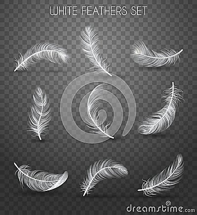 Realistic Feather Transparent Set Vector Illustration
