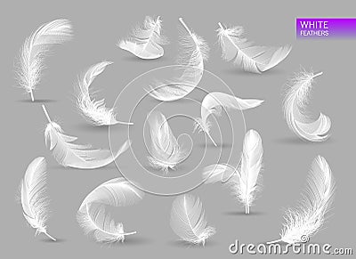 Realistic feathers. White bird falling feather isolated on white background vector collection. Illustration of feather Vector Illustration